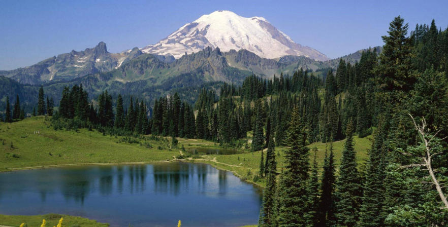 广东绿境园林景观工程有限公司轮播图5